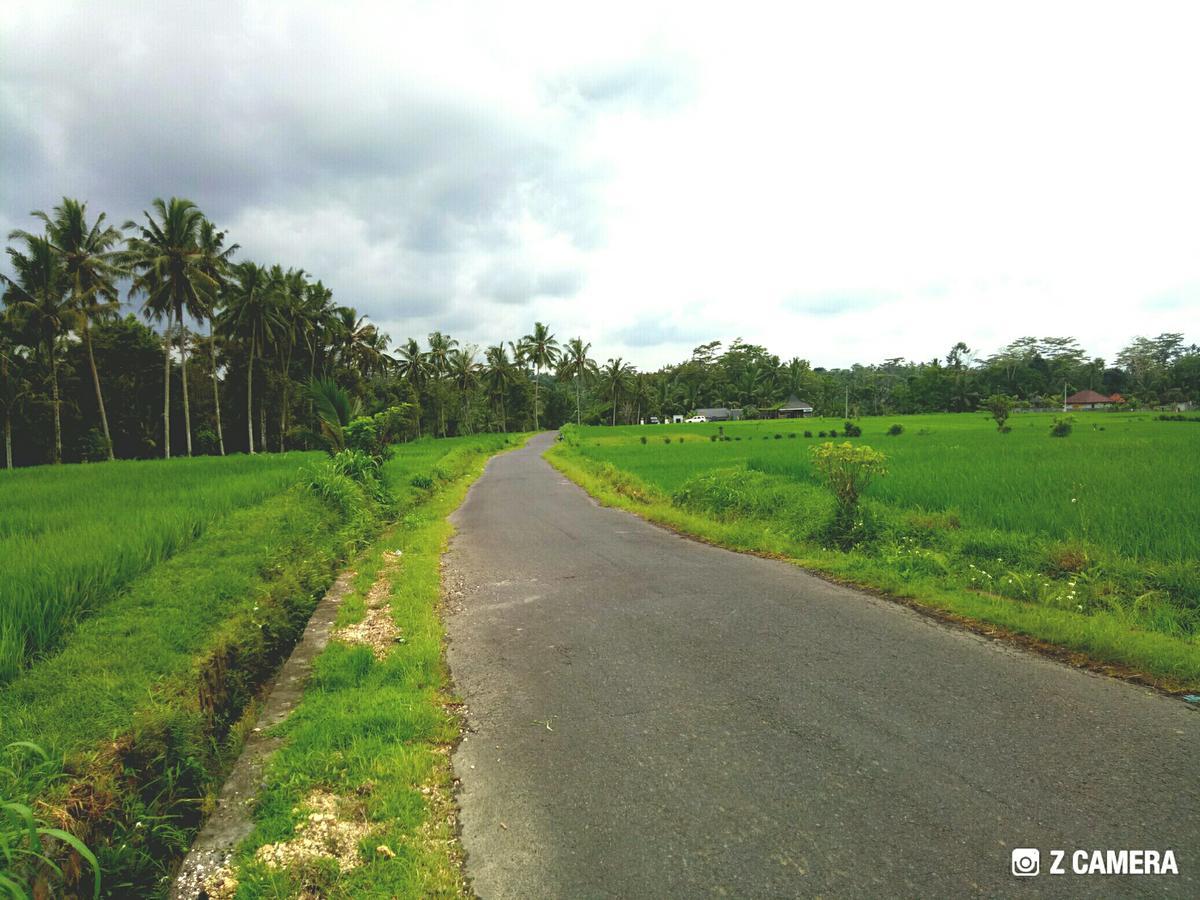Amara Giri I Villa Ubud Exteriör bild