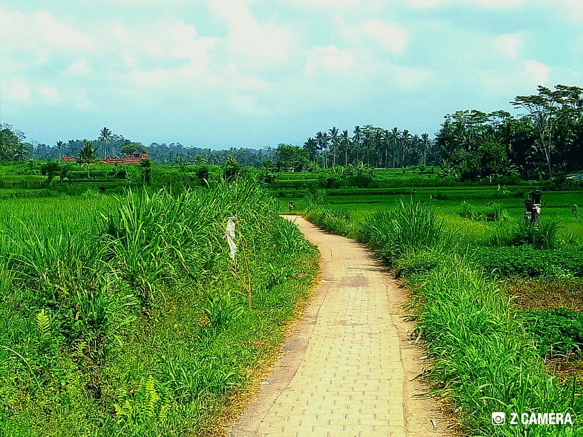 Amara Giri I Villa Ubud Exteriör bild