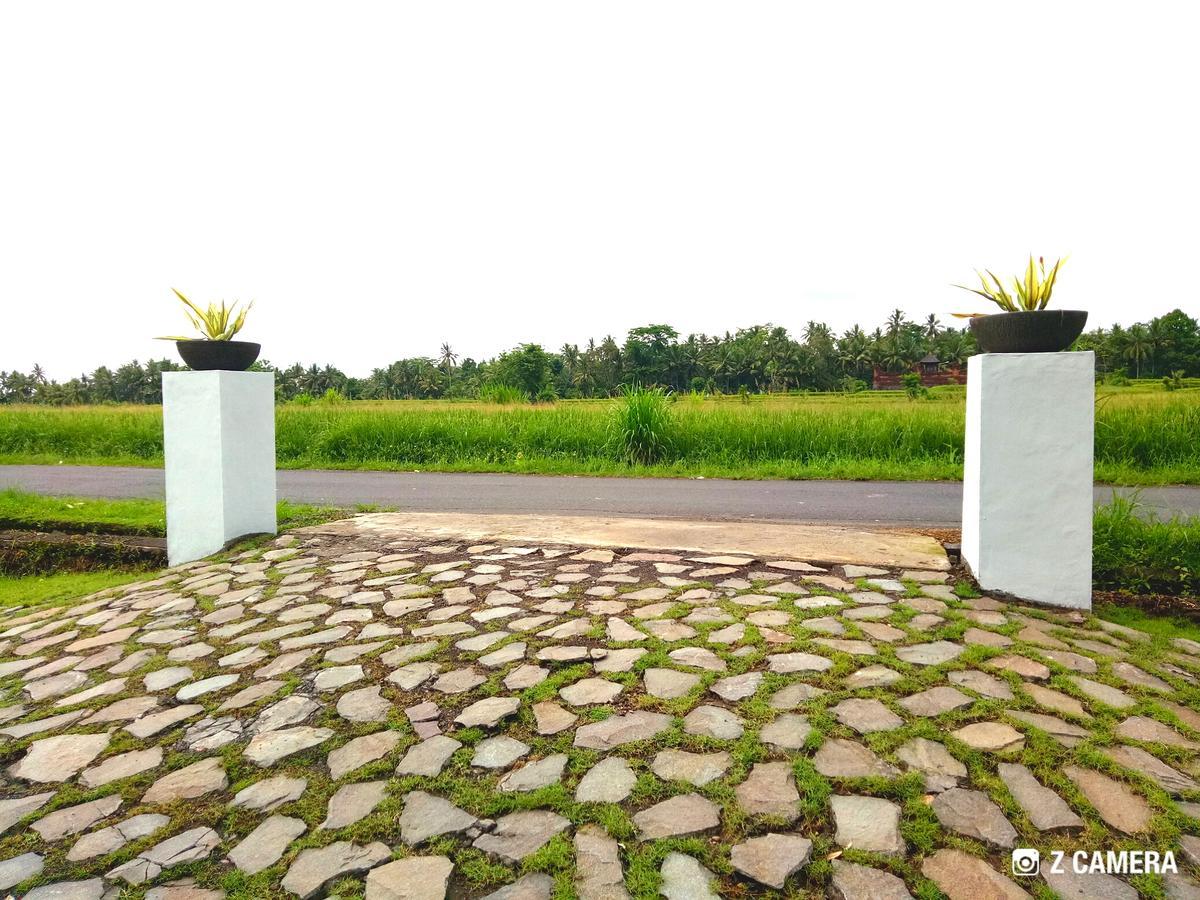 Amara Giri I Villa Ubud Exteriör bild