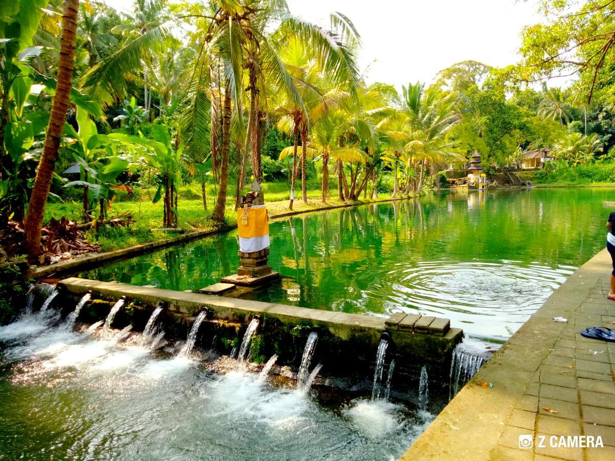 Amara Giri I Villa Ubud Exteriör bild