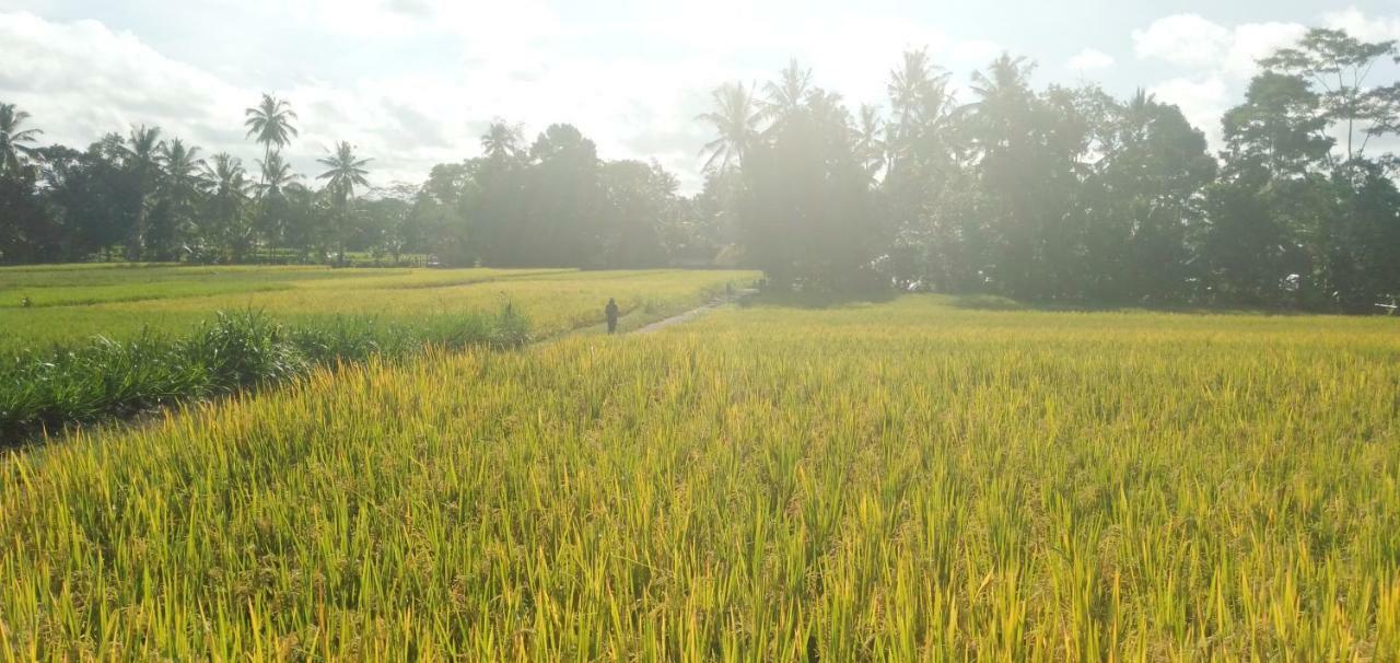 Amara Giri I Villa Ubud Exteriör bild